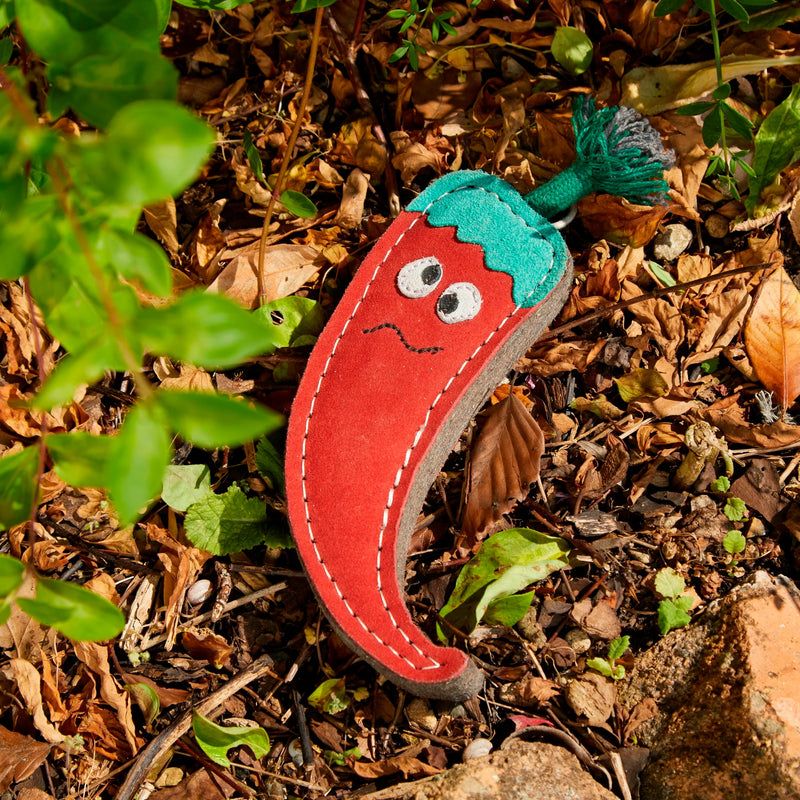 Chad the Red Hot Chilli Pepper Dog Eco Dog Toy