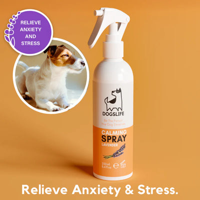 Calming Dog Spray - Natural Lavender Scented