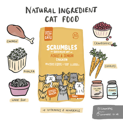 Natural Chicken Dry Cat Food