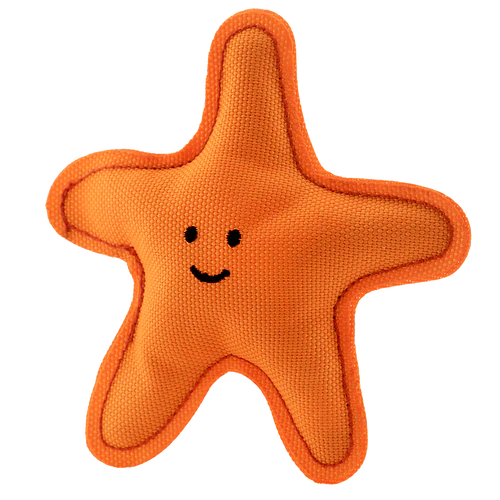 Starfish Catnip Recycled Toy