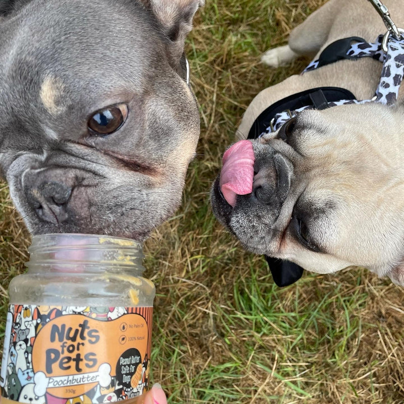 Poochbutter With Turmeric - Natural Peanut Butter For Dogs