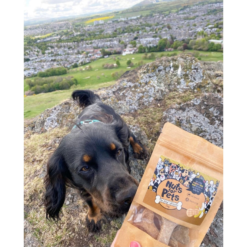 Natural Peanut Butter Dog Biscuits - Poochbutter