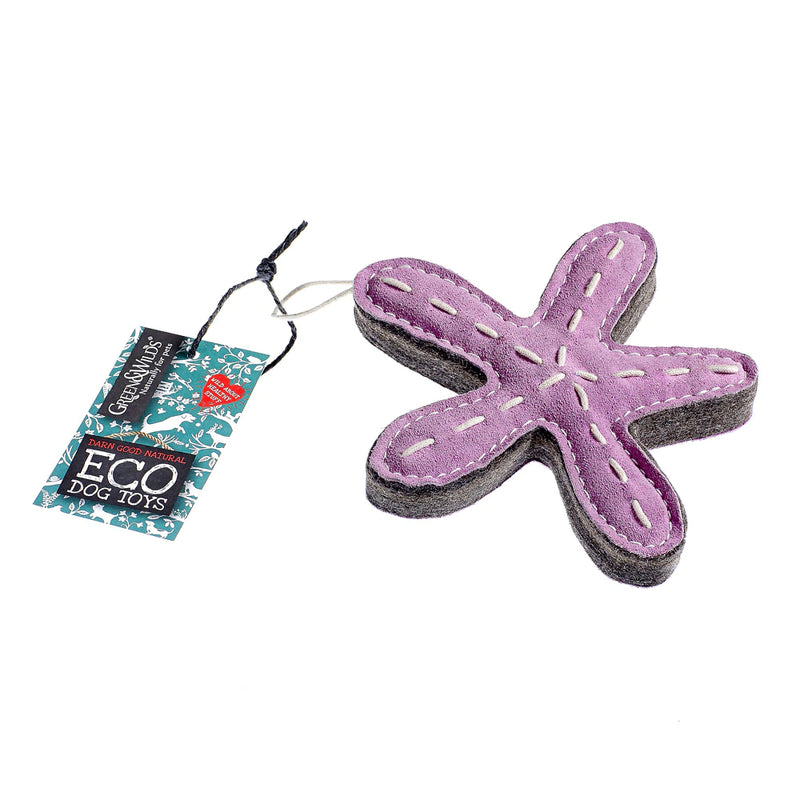 Stanley The Starfish Eco Dog Toy