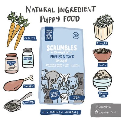 Natural Chicken Dry Puppy Food