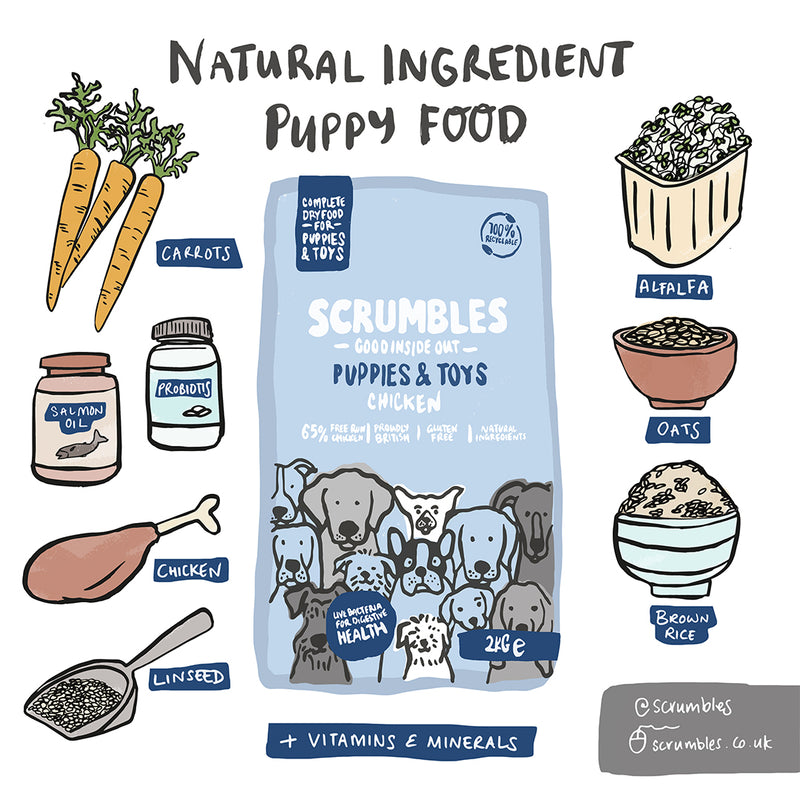 Natural Chicken Dry Puppy Food