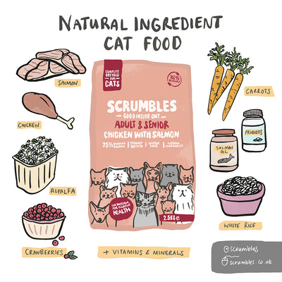 Natural Salmon Dry Cat Food