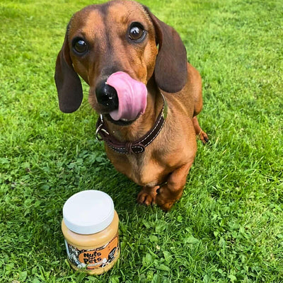 The Original Poochbutter - Natural Peanut Butter For Dogs