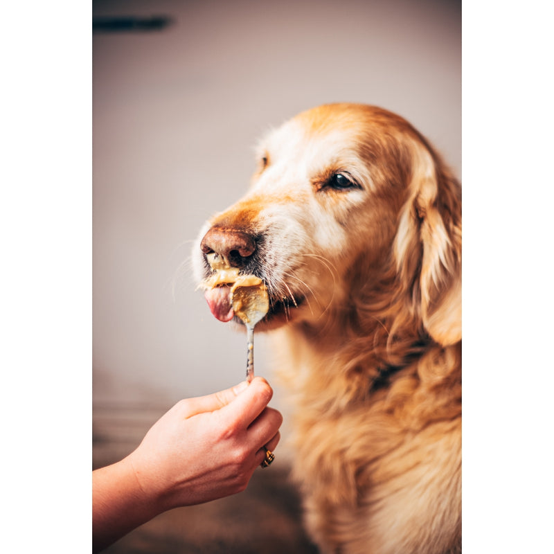The Big One Poochbutter - Natural Peanut Butter For Dogs
