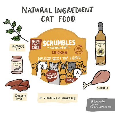 Natural Chicken Wet Cat Food