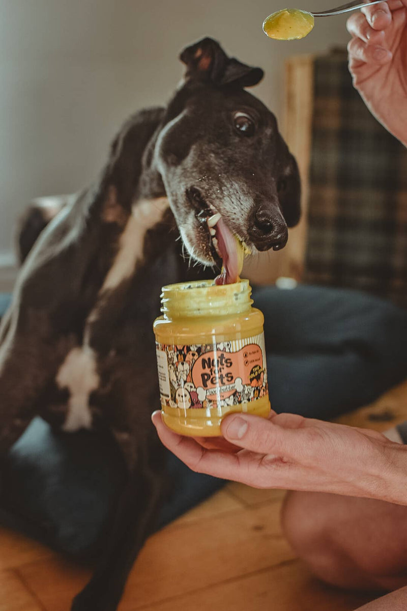 Poochbutter With Turmeric - Natural Peanut Butter For Dogs