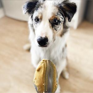The Big One Poochbutter - Natural Peanut Butter For Dogs