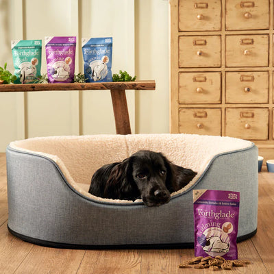 Calming Multi-Functional Soft Bites Natural Dog Treats - Turkey, Chamomile, Lavender & Lemon Balm