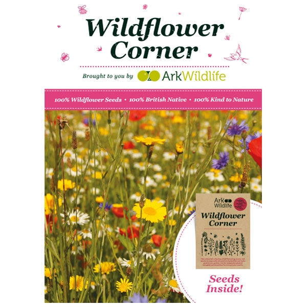 Flowering Lawn Wildflower Seed Mix