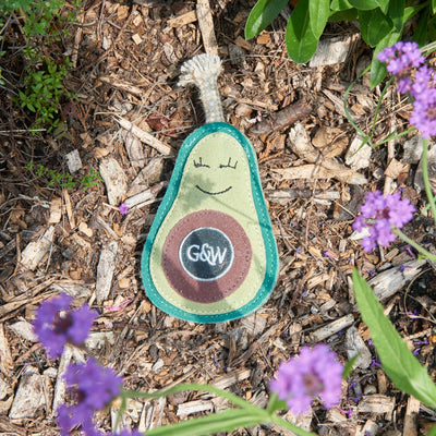 Audrey The Avocado Eco Dog Toy