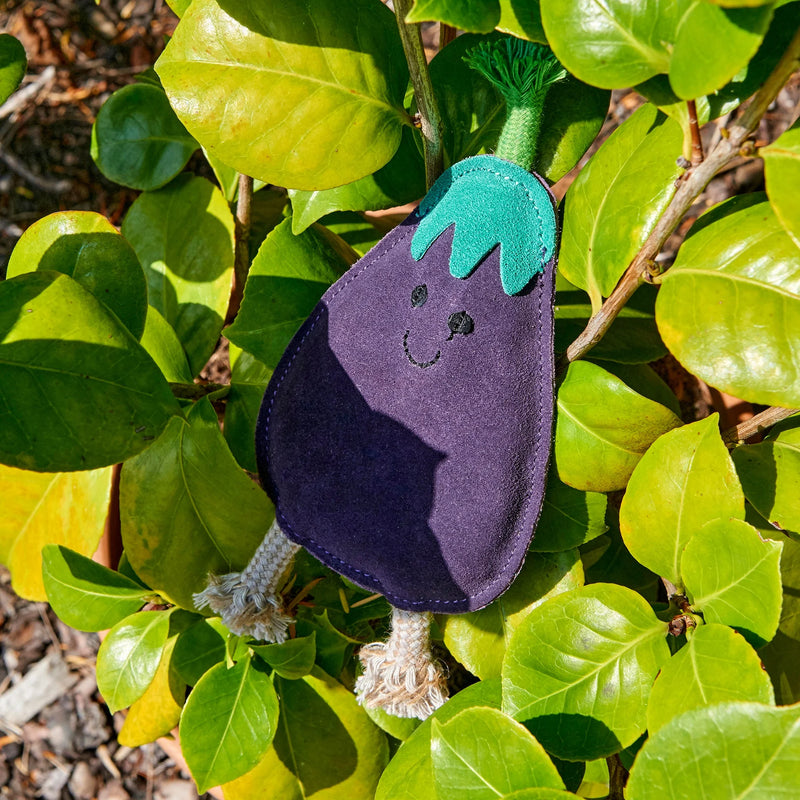 Austin The Aubergine Eco Dog Toy