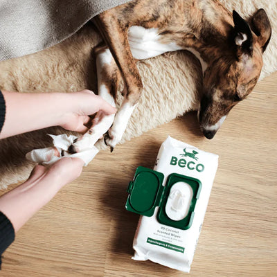 Compostable Bamboo Dog Wipes - Coconut Scented