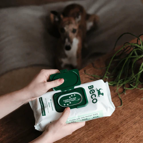 Compostable Bamboo Dog Wipes - Unscented