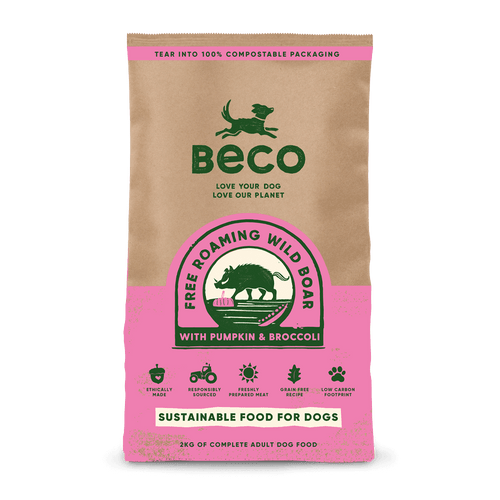 Natural Dry Dog Food - Wild Boar With Pumpkin & Broccoli