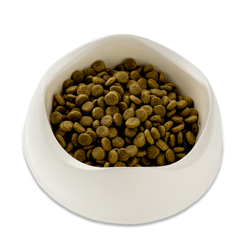 Natural Dry Puppy Food - Free Range Turkey With Pumpkin & Spinach