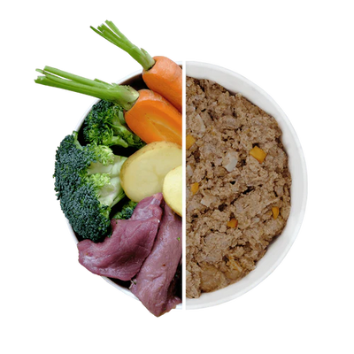 Natural Wet Dog Food - Wild Boar With Broccoli & Carrots