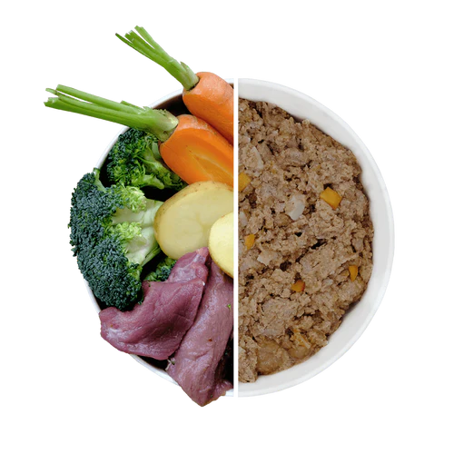 Natural Wet Dog Food - Wild Boar With Broccoli & Carrots