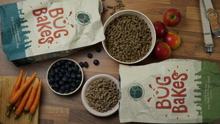 Bug Bakes Regular - Natural Insect Dog Food