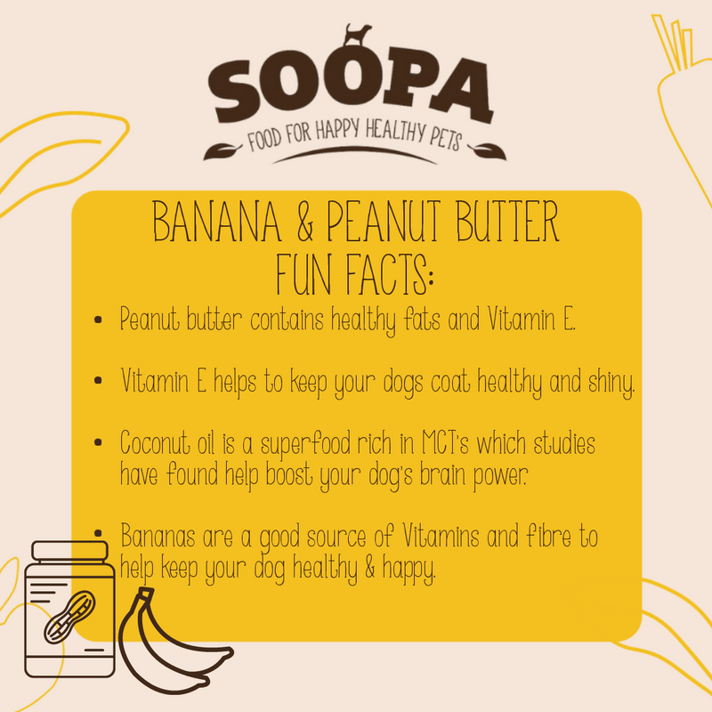 Natural Banana & Peanut Butter Vegan Healthy Bites