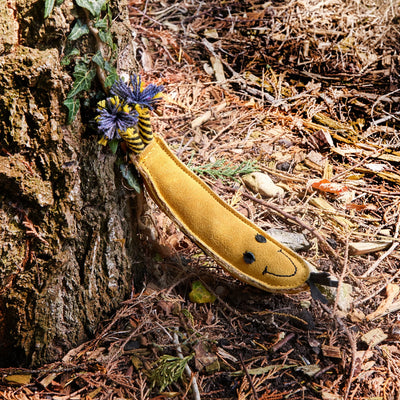 Barry The Banana Eco Dog Toy