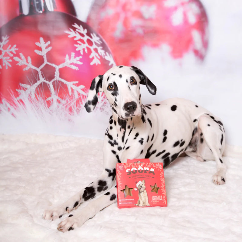 Natural Cranberry & Sweet Potato - Vegan Christmas Treat Selection Box For Dogs