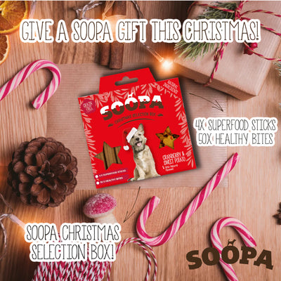 Natural Cranberry & Sweet Potato - Vegan Christmas Treat Selection Box For Dogs