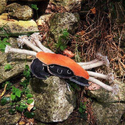 Carlos The Crab Eco Dog Toy