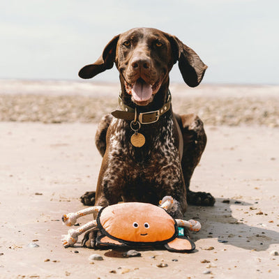 Crab Recycled Rough & Tough Eco Dog Toy