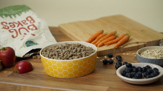 Bug Bakes Regular - Natural Insect Dog Food