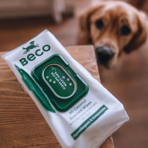 Compostable Bamboo Dog Wipes - Coconut Scented