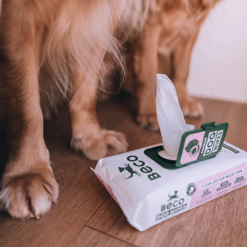 Compostable Bamboo Dog Wipes - Coconut Scented