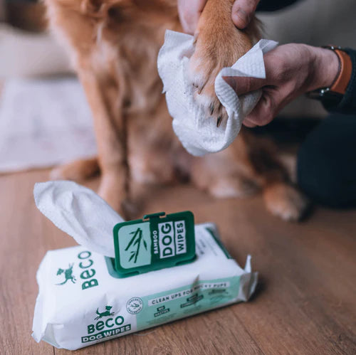 Compostable Bamboo Dog Wipes - Unscented