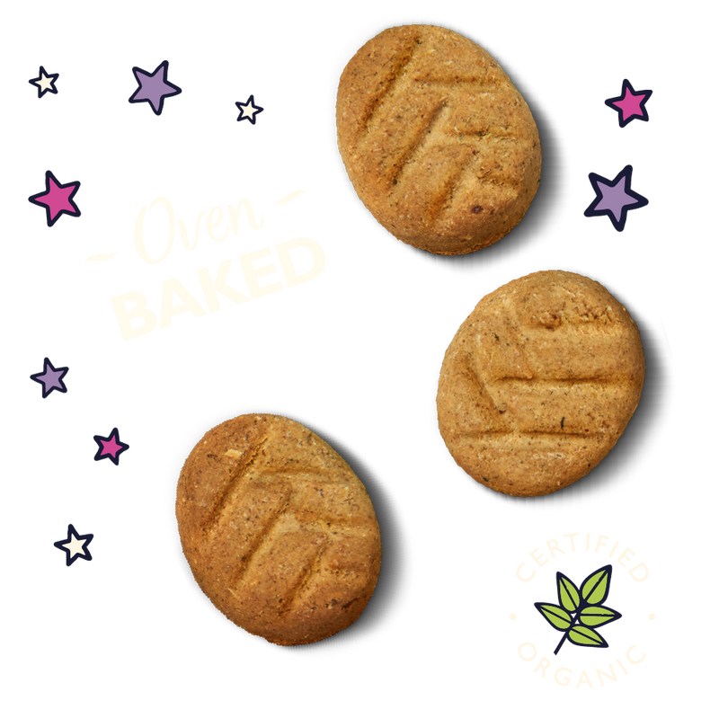 Organic Bedtime Dog Biscuits