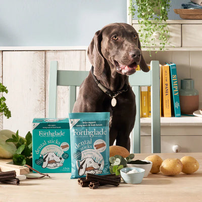 Natural Plant-Based Vegan Dental Sticks For Dogs