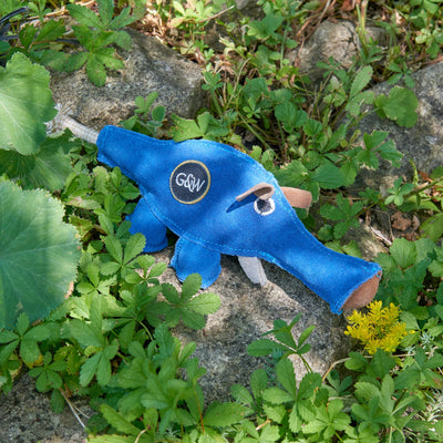 Dino The Dyno Fish Eco Dog Toy