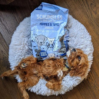 Natural Chicken Dry Puppy Food