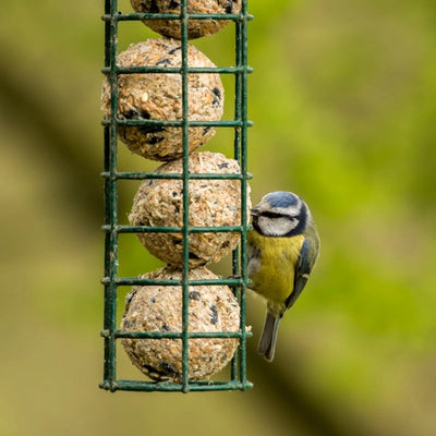 Fat Ball Holder