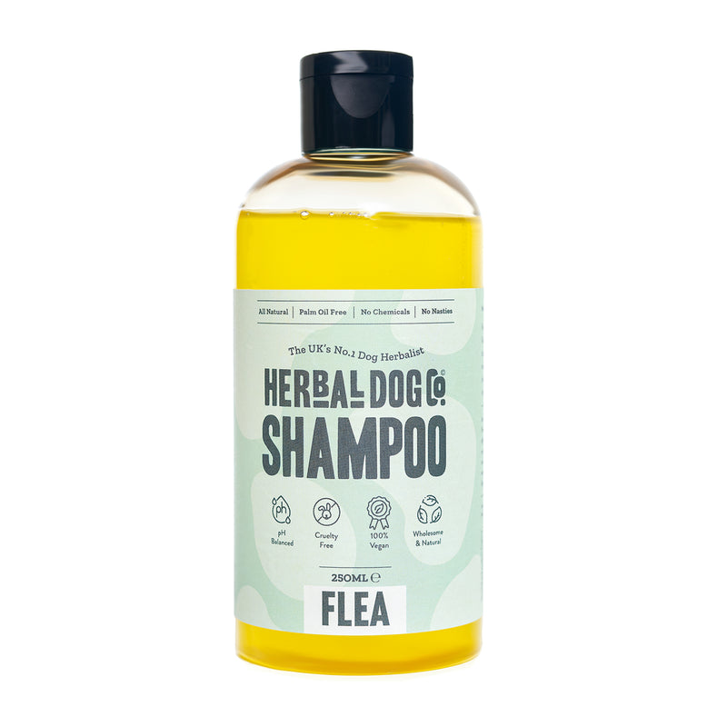 All Natural Flea Dog Shampoo