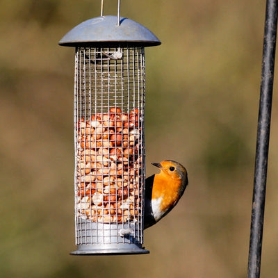 Garden Bird Peanut Feeder