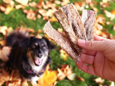 Natural Whitefish Jerky