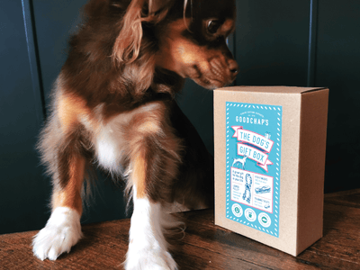 The Dog's Gift Box
