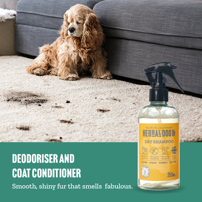 Baby Powder Natural Dog Dry Shampoo - Dog & Puppy