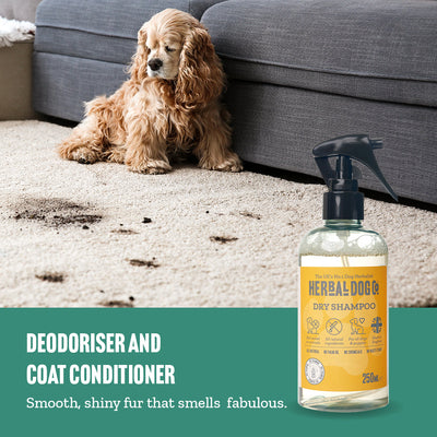 Coconut Natural Dog Dry Shampoo - Dog & Puppy