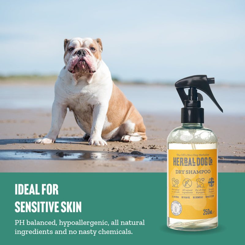 Coconut Natural Dog Dry Shampoo - Dog & Puppy