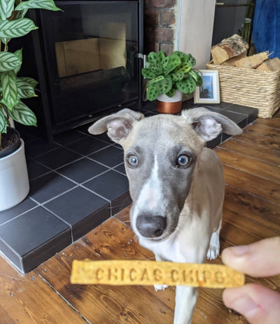 Chica's Chips Natural Vegan Superfood Dog Treats