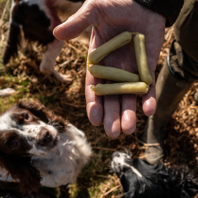 Natural Skin & Coat Support Sausages With Aloe Vera & Spirulina Grain-Free Dog Treats